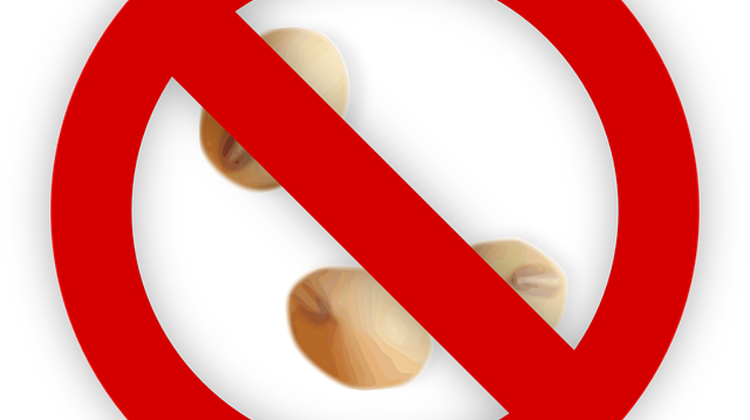 Hungarian Govt Asks For EC Ban Of Genetically Modified Crops