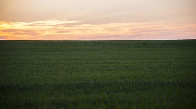 Hungarian Socialists: Auctions Cannot Prevent Foreign Ownership Of Farmland