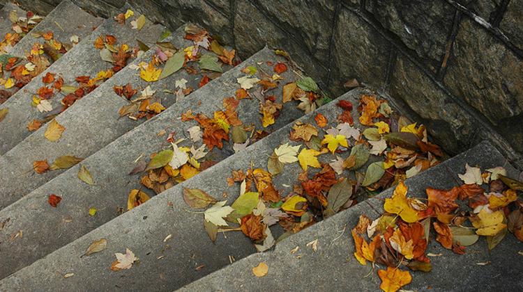 Xpat Opinion: What to Eat On A Chilly Evening In Budapest