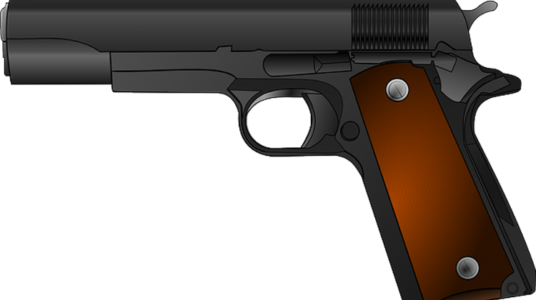 Shots Fired In Hungarian Politicians’ Dispute