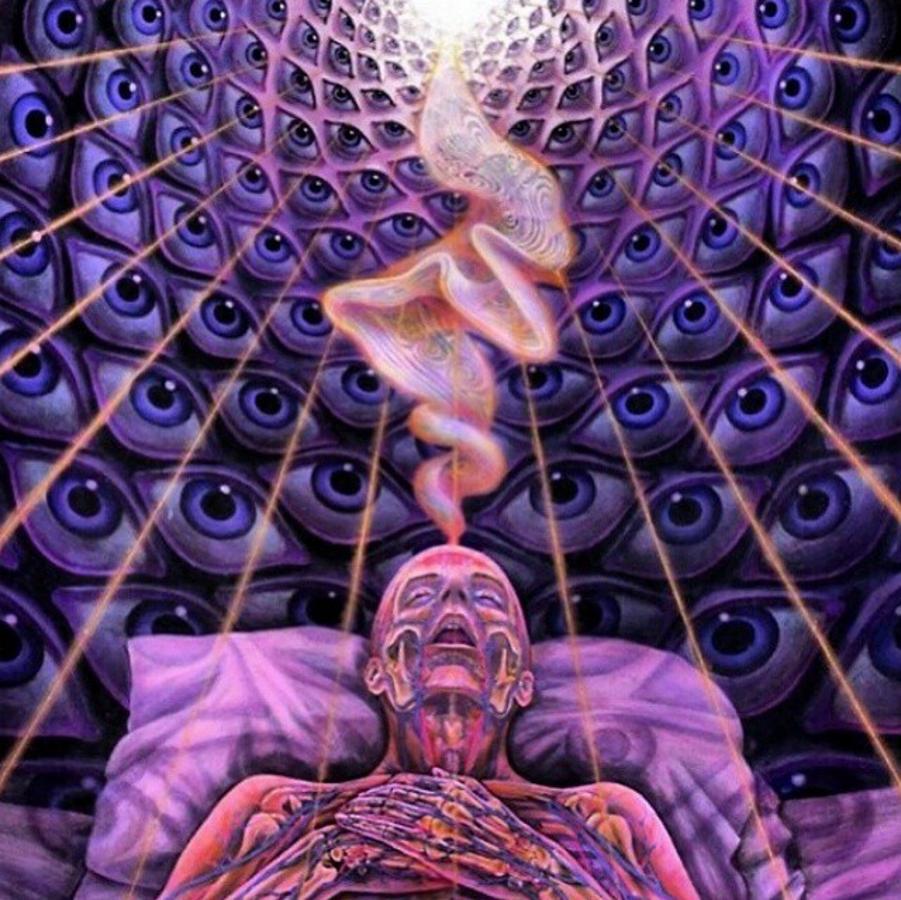 Hungarian Researchers Aim to Study DMT’s Role In Clinical Death