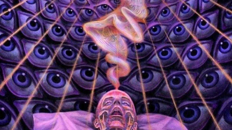 Hungarian Researchers Aim to Study DMT’s Role In Clinical Death