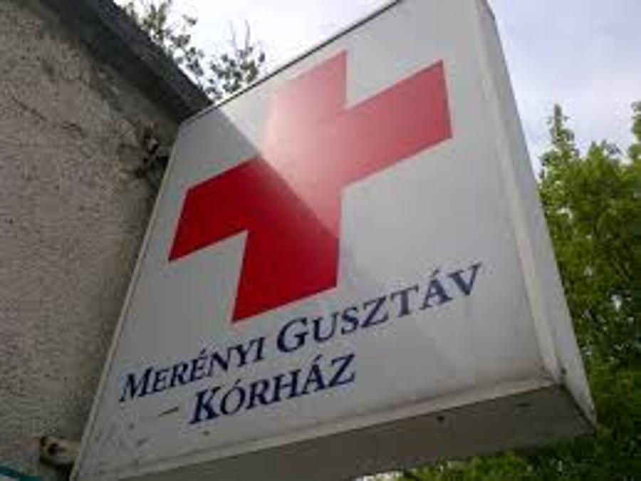 Inquest Into Conditions At Budapest Hospital
