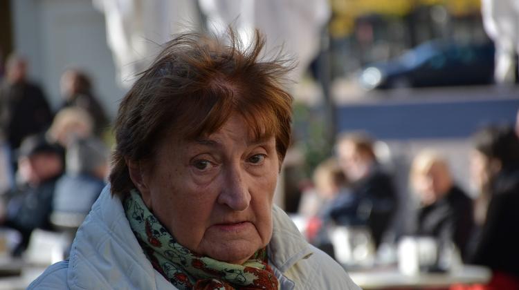 Strasbourg Court Rules Hungary Pension Law Violates ECHR