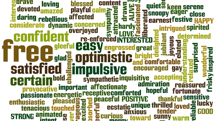 CEO ’s More Optimistic About Hungarian Economy