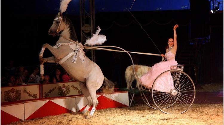 Budapest Circus Festival Starts Today