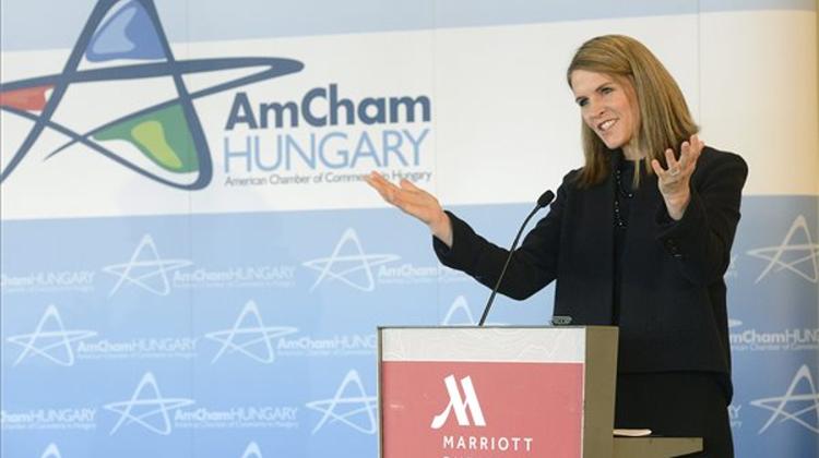 US Ambassador: Economic Ties With Hungary Strong