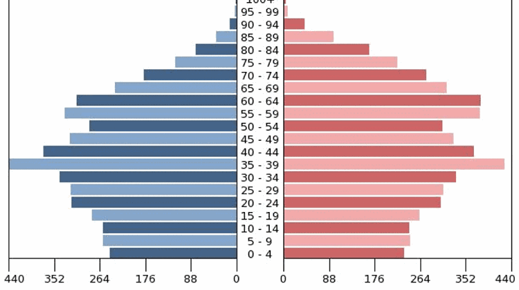 Fewer, Older Hungarians By 2060