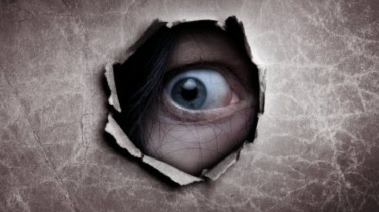 Secret Surveillance In Hungary Unlawful Without Judicial Approval