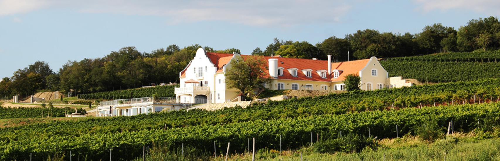 Introducing Hungary's Liszkay Winery