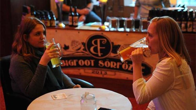 See What Happened @ First Winter Beer Festival In Budapest