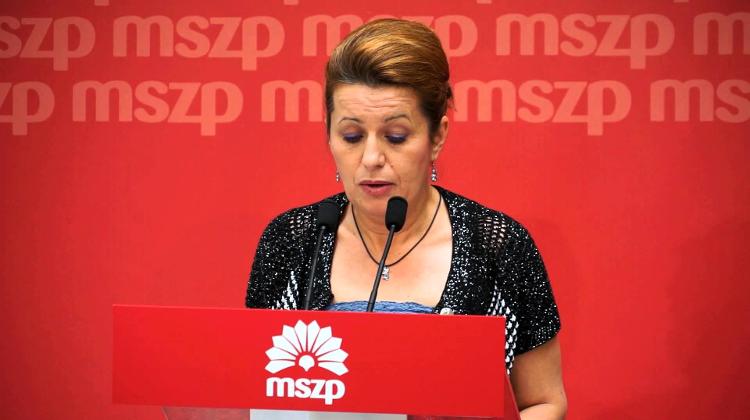 Hungarian Socialists Attriute Decline In Births To Failure Of Family Policy