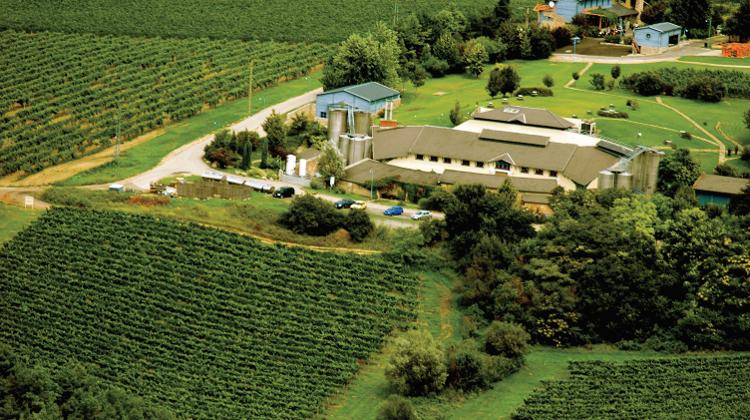 Introducing Hilltop Winery From Neszmély