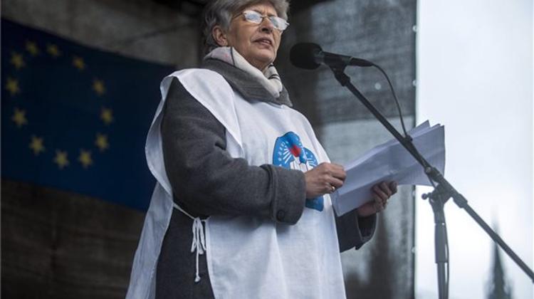 Hungarian State Secretary: Demonstration “Aimless”