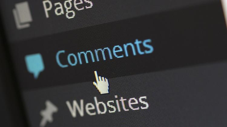 ECTHR: Top Court Ruling On Websites’ Liability For User Comments Breaches Freedom Of Speech