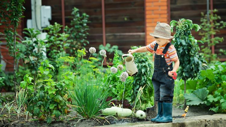 Gardenexpo, Sportaréna, 18 - 20 March