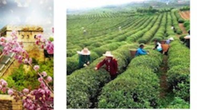 Chinese Days @ Central Market Hall, 16 – 18 March