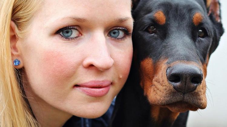 Ministry To Consult Animal Welfare Groups