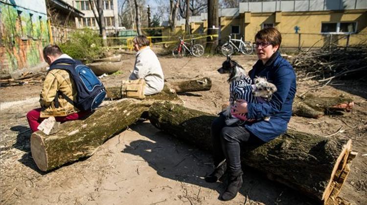 Felling Of Trees In Budapest City Park Halted