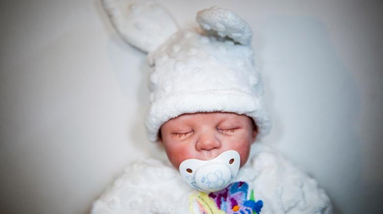 Now On: Hungarian Press Photo Exhibition