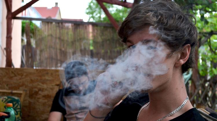 Budapest Marijuana Demo Goes Up In Smoke