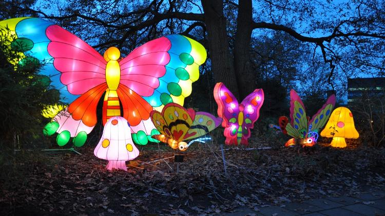 Now On: 'Chinese Magic Lights', Budapest Zoo