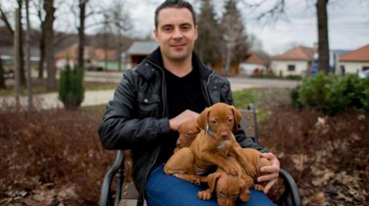 Xpat Opinion: Gábor Vona Of Jobbik Cleans House