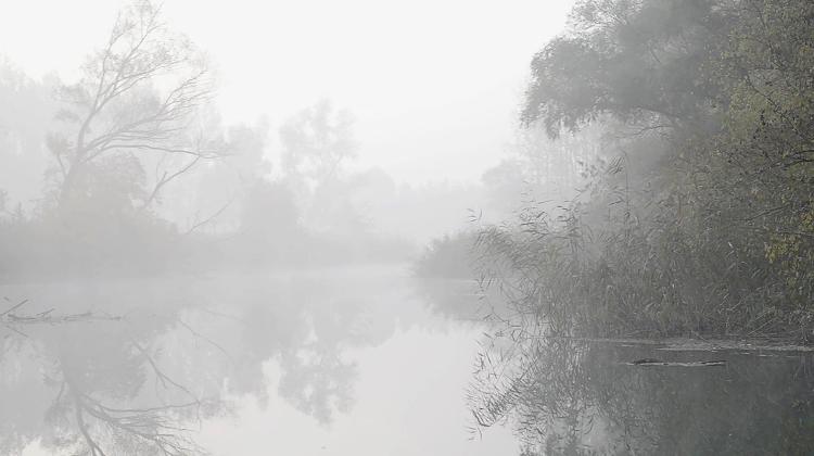 Some Music, Something Else, Open Society Archives, 28 April