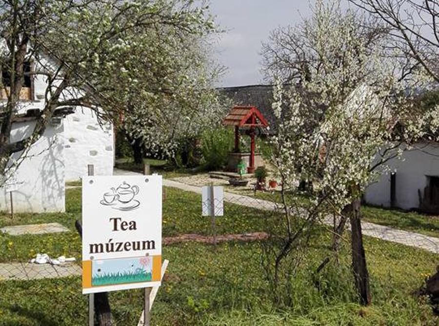 An Unusual English “Living Museum” In Hungarian Countryside