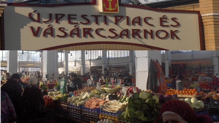 WWII Grave Found In Pest