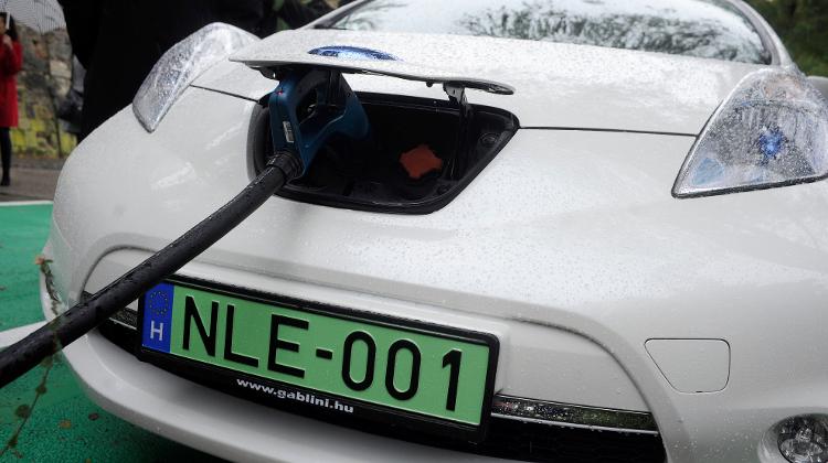 Nearly 600 Green Licence Plates Registered In Six Months