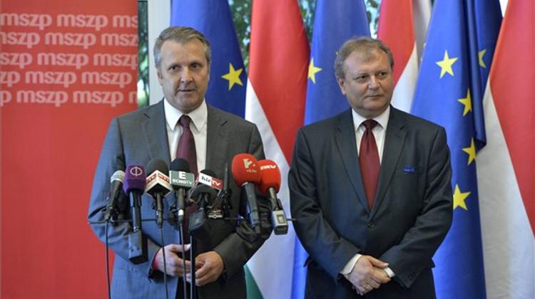 Xpat Opinion: New Head Of The Socialist Party Elected