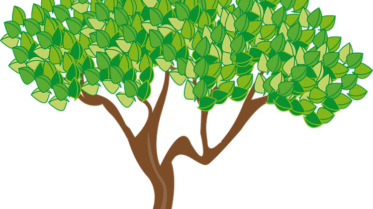 International Schools Exhibition: Tree-Mendous Art Works, 13 June