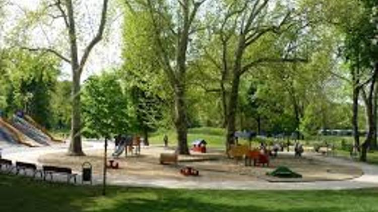 Police Remove Protesters Against Construction In City Park