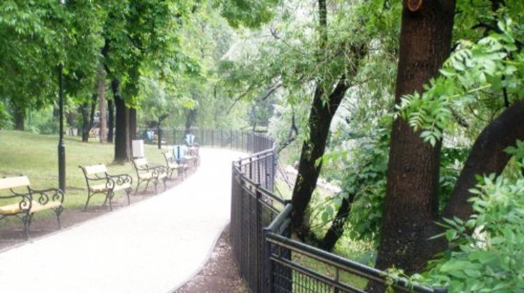 Protests Save Trees In Orczy Kert