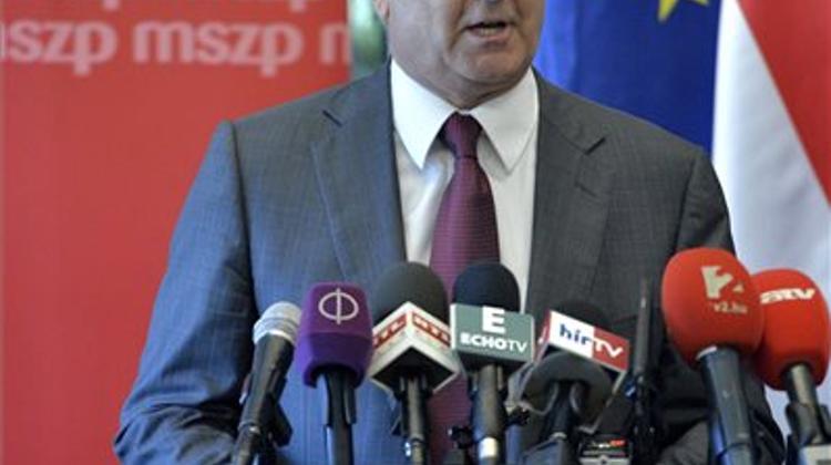 Molnár Elected Chairman Of Socialist Party