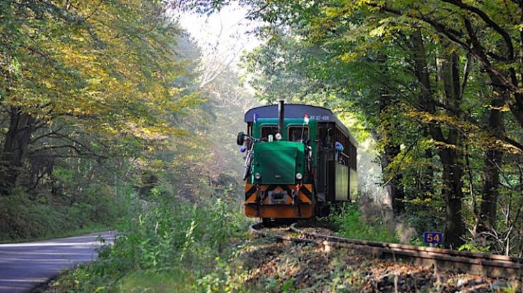 Hungary’s Longest Narrow-Gauge Forest Railway Opens In The Börzsöny Hills