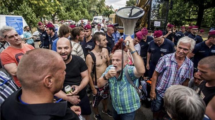 Pop Singer Joins City Park Protectors