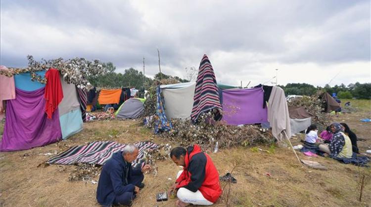 Migration Pressure ‘Growing On Hungary - Serbia Border’