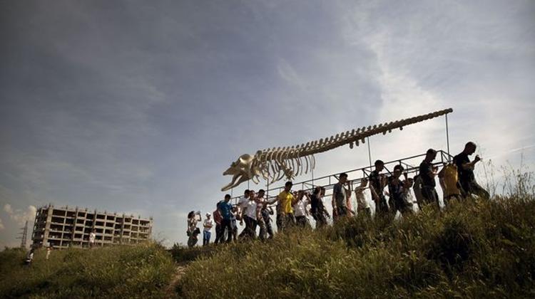 Now On: The Whale That Was A Submarine Exhibition @ Ludwig Museum