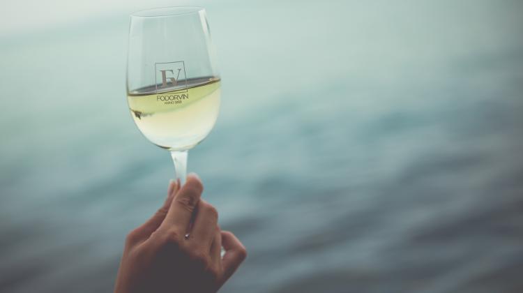 Introducing Hungary's Fodorvin Family Winery