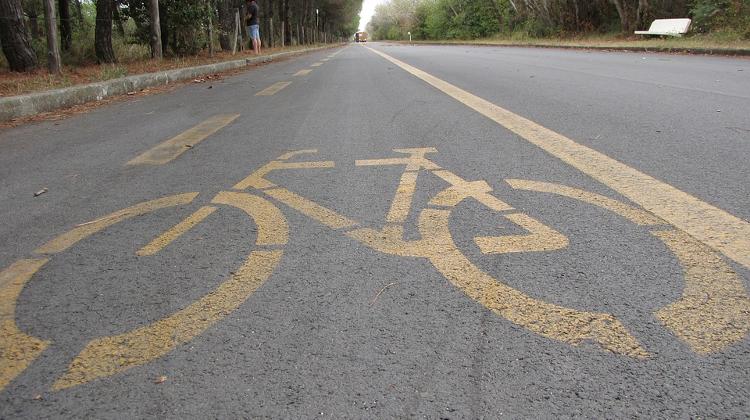 Hundreds Protest For Bicycle Lane In Budapest
