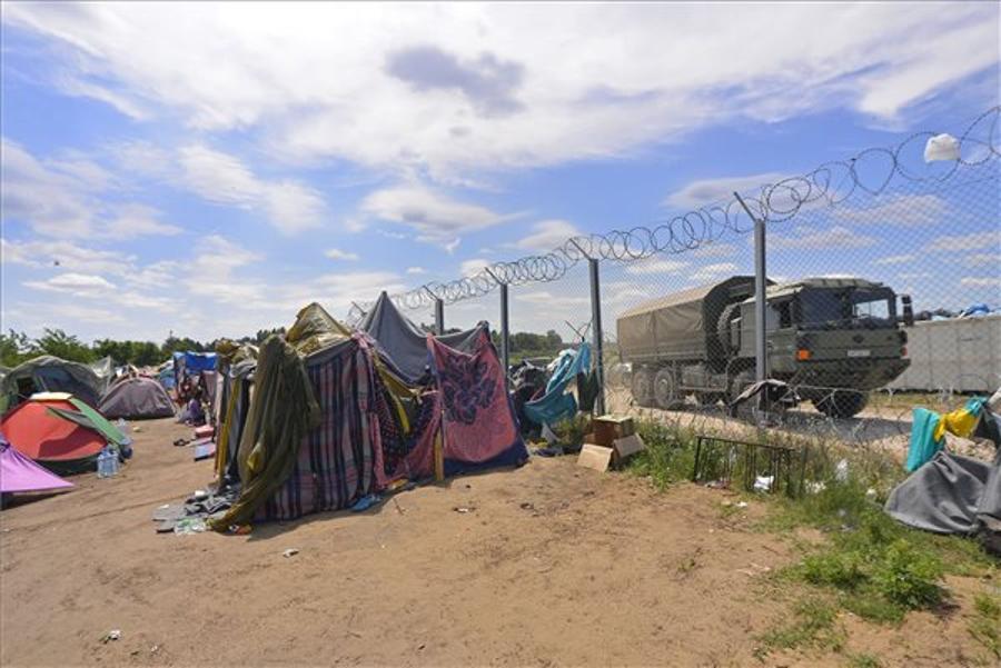 Over 1,000 Migrants Attempt Illegal Entry Since Tuesday