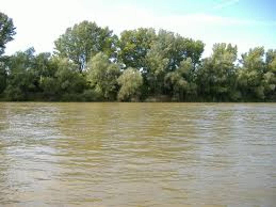 Pollution Found In Tisza Waters In Hungary
