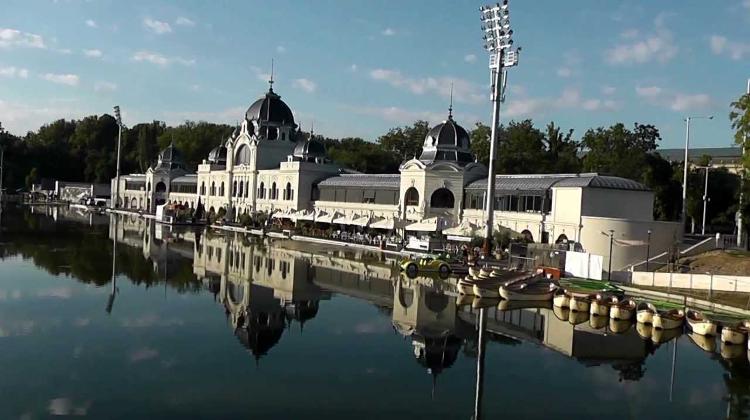 Budapest City Park Lake Poisoned