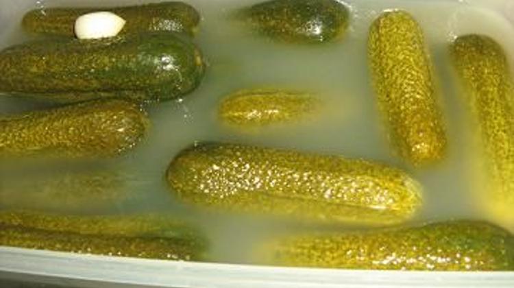 Cucumber Season In Hungary