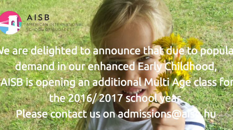 Multi Age Class At American International School Budapest