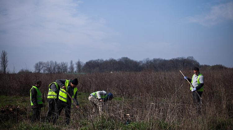 Hungary’s Countryside Poverty Trap Explained