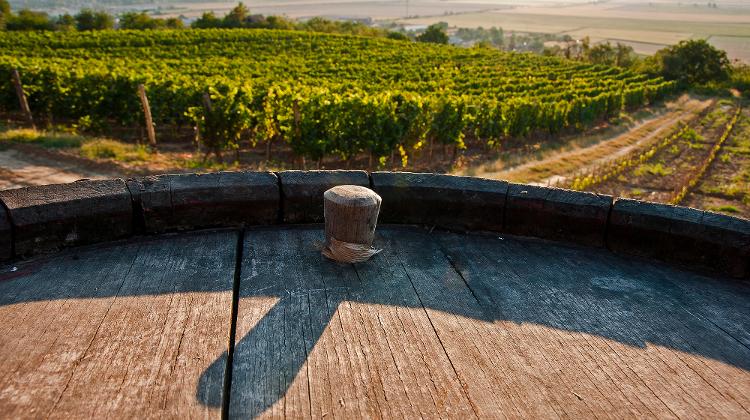 Vintage Days, Szekszárd, 16 – 18 September