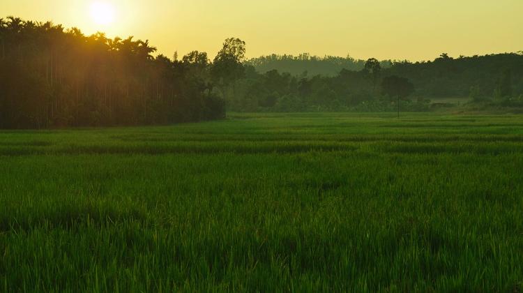 New Mine Clearing Project To Be Launched On Hungarian Side Of Border With Croatia